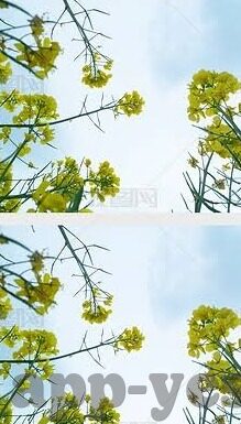 最好看的中文字幕视频2018-2018年最佳中文字幕视频，视觉与情感的双重盛宴